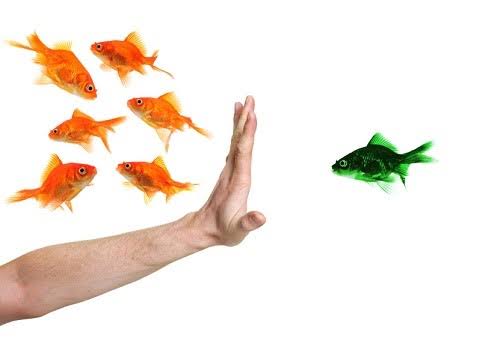 Discrimination, Harassment and Victimisation Training Training Course